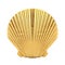 Beauty Golden Scallop Sea or Ocean Shell Seashell Mock Up. 3d Rendering