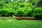 beauty of the green garden in the tropical forest by the swamp where wooden boat is parked. The concept relaxing healthy ozone.