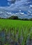 Beauty of Greenfield and bluesky with clouds