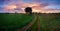 Beauty landscape and colorful sky at tuban rice field