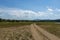 Beauty look toward picturesque field with cracked dry way near by Rabisha lake