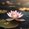 Beauty of lotus flower in realistic macro focus