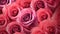 beauty love roses background
