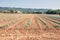 The beauty of the Luberon from the top of the terrace