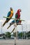 The beauty of macaws