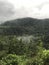 The beauty of the mountain forests of Sri Lanka