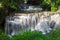 Beauty of multiple stream waterfall in tropical deep forest