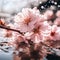 The beauty nature of Cherry Blossoms sparkling with water Generative AI