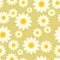 Beauty in nature, daisy seamless pattern on square.