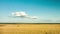 The beauty of nature, a field of wheat, hay, clouds, timelapse