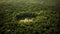 beauty of nature with this mesmerizing aerial view of a dense forest