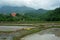 beauty nature in the rice fields in Vietnam mounts