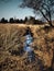 The beauty of nature, where there is a small stream and in the background is a forest