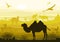 Beauty of nature with wild animals (camel, goat, bird, ostrich,