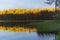 Beauty of the Northern nature: shaded lake shores and tops of pine tree forest lit with setting sun and reflected on the water