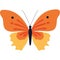 beauty orange butterfly with wings open