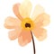 beauty orange flower garden icon