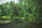 Beauty pond with clear water