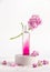 Beauty product bottle with pink liquid on podium with flying flowers at white background. Perfume bottle. Modern cosmetic