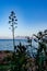 The beauty of Punta Sant` Elia