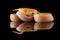 Beauty rat Snake albino isolated on black background