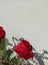 The Beauty of Red Roses: The Enchantment of Flowers That Never Fade