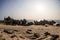 Beauty rocky beach in sunny day with clean meadow sky