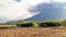 the beauty of the savanna of Baluran National Park in the afternoon, Situbondo, East Java, Indonesia