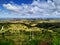 The beauty of the savanna hills in the East Nusa Tenggara area, Indonesia