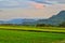 The beauty of the scenery of the rice fields of Sleman village,Yogyakarta.