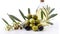 The Beauty of Simplicity, Olives, Olive Oil, and a Blooming Branch on a Clean White Background. Generative AI