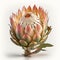 The Beauty of Simplicity Protea Flower, Vibrant Blooms - Generative AI