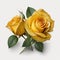 The Beauty of Simplicity Yellow Roses Flower, Vibrant Blooms - Generative AI