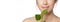 Beauty Spa Woman with a Fresh Leaf near Face