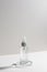 Beauty spray bottle isolated on white background