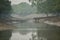 Beauty of Sundarbans mangroves in India