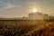 The beauty of the sunrise in Indonesian rice fields