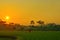 The beauty of the sunrise in the rice fields