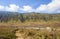 The beauty of Teletubbies Hill, a vast savanna landscape, one of the tourist destinations in the Bromo Mountain, Indonesia.