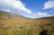 The beauty of Teletubbies Hill, a vast savanna landscape, one of the tourist destinations in the Bromo Mountain, Indonesia.