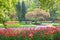 Beauty tree in bloom with bench