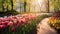 The beauty of a tulip garden in bloom