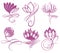 Beauty Vector Lotus flowers design logo Template icon