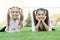 Beauty is whatever gives joy. Happy kids relax on green grass. Beauty look of little girls. Childs skincare products