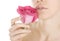 Beauty woman holding pink rose on white, Close-up isolated