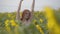 Beauty woman walking on yellow sunflower field, raising hands. Freedom concept. Happy woman outdoors. Harvest