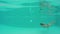 Beauty young woman swimming under water in outdoor pool