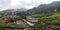 Beauutifull landscape ricefield green west sumatera sky field