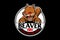 Beaver Animal character badge logo template
