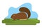 Beaver canadian animal scene